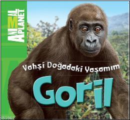 Vahşi Doğadaki Yaşamım - Goril - Kitapiks.com