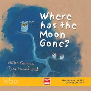 Where Has The Moon Gone?